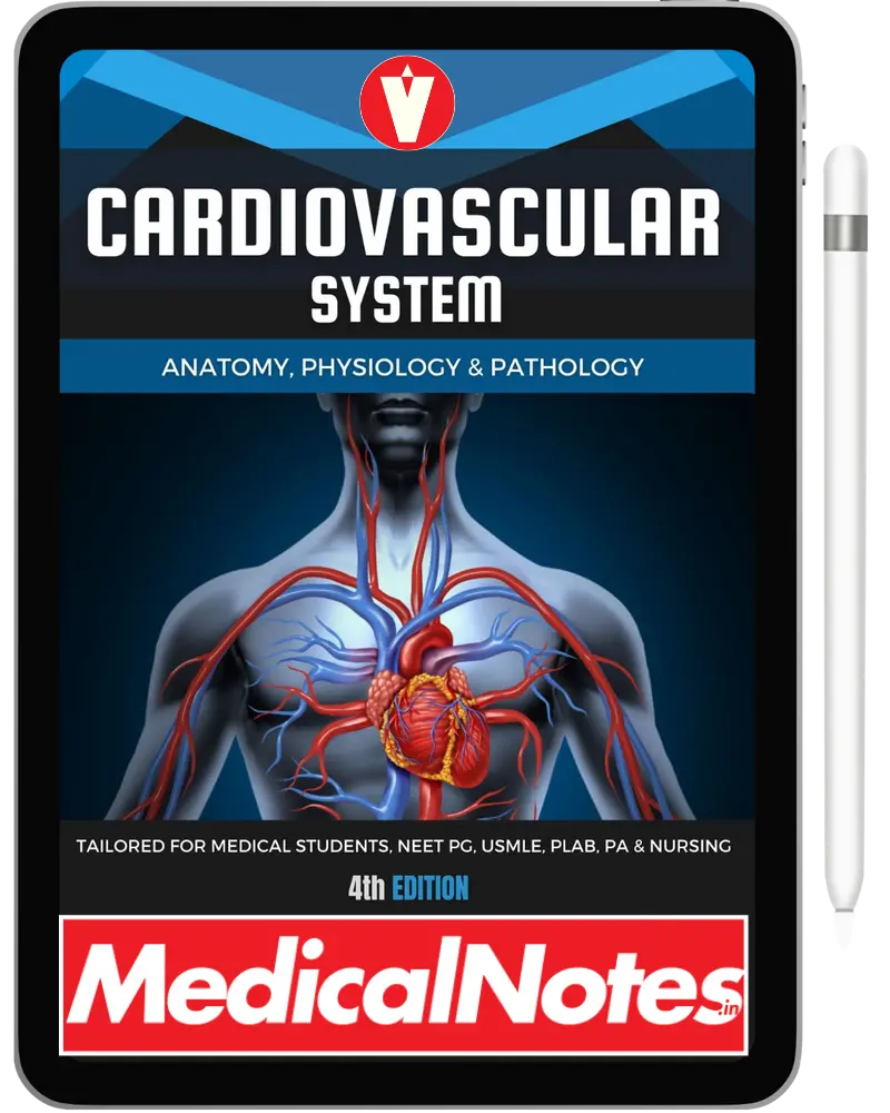 Complete Medical Notes Bundle