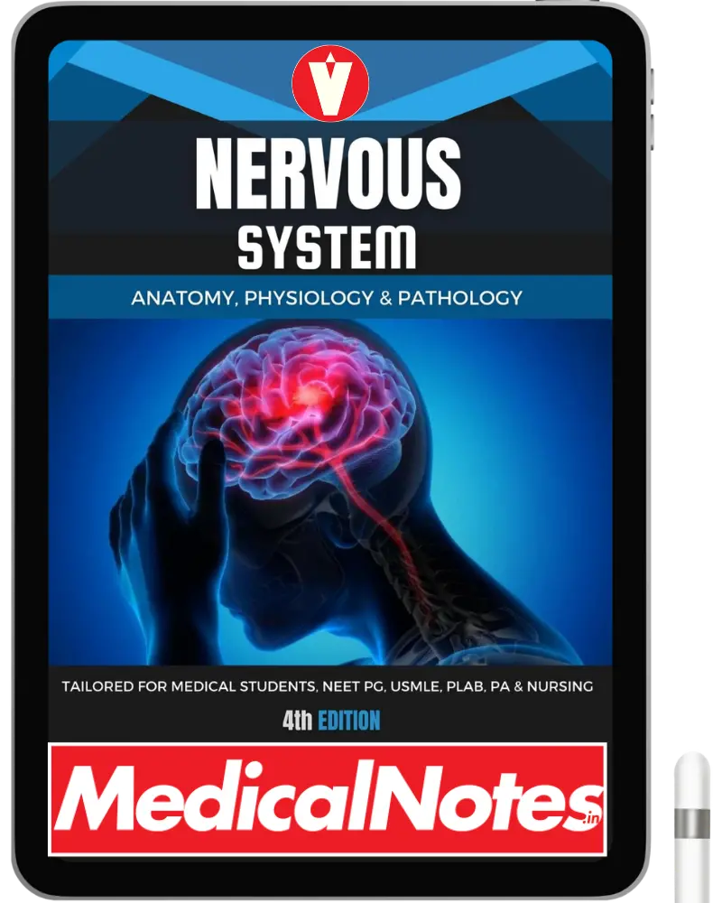 Complete Medical Notes Bundle