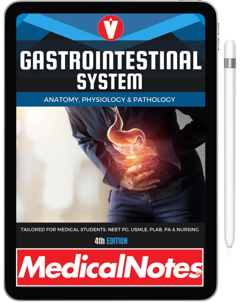 Complete Medical Notes Bundle