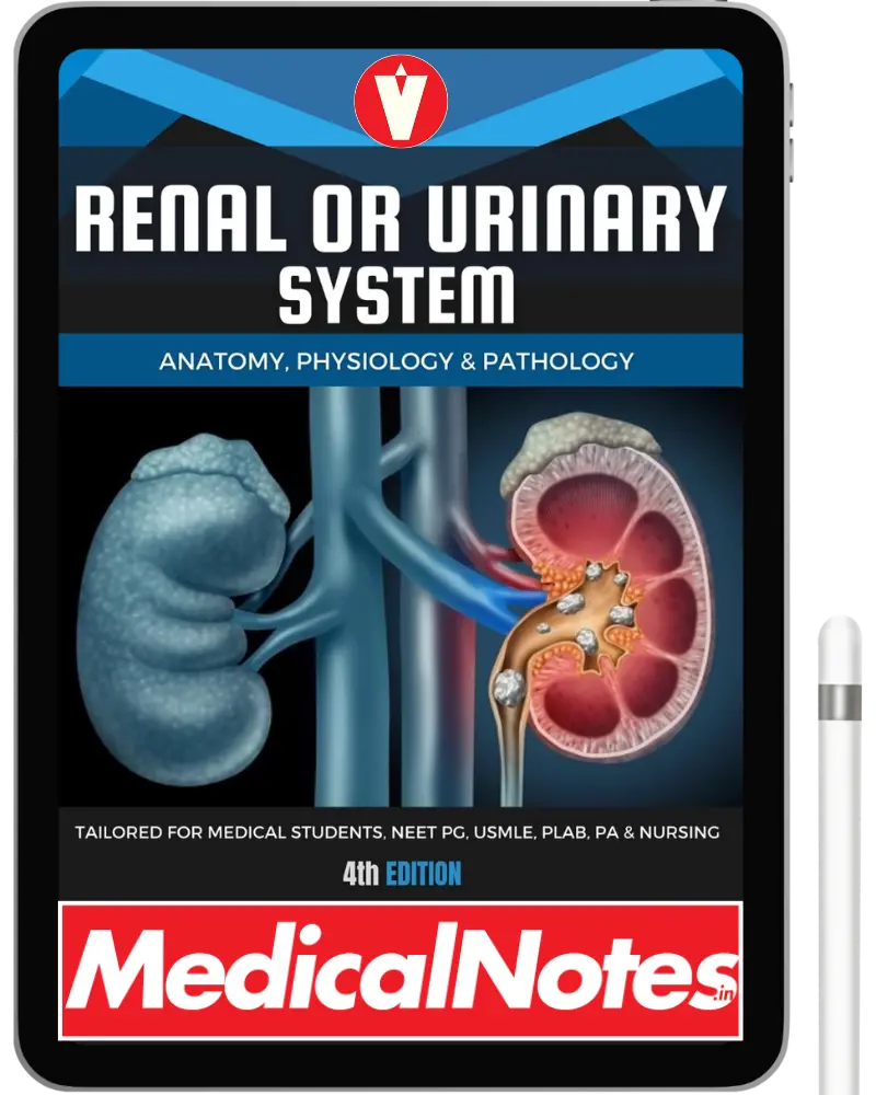 Complete Medical Notes Bundle