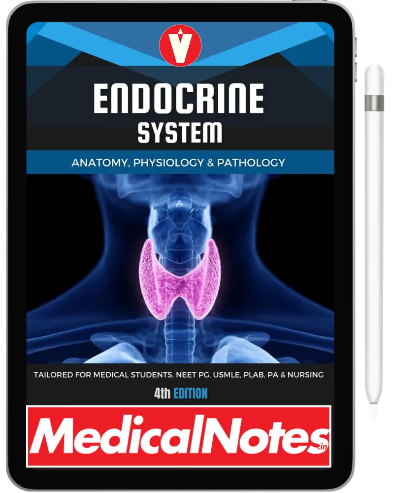 Complete Medical Notes Bundle