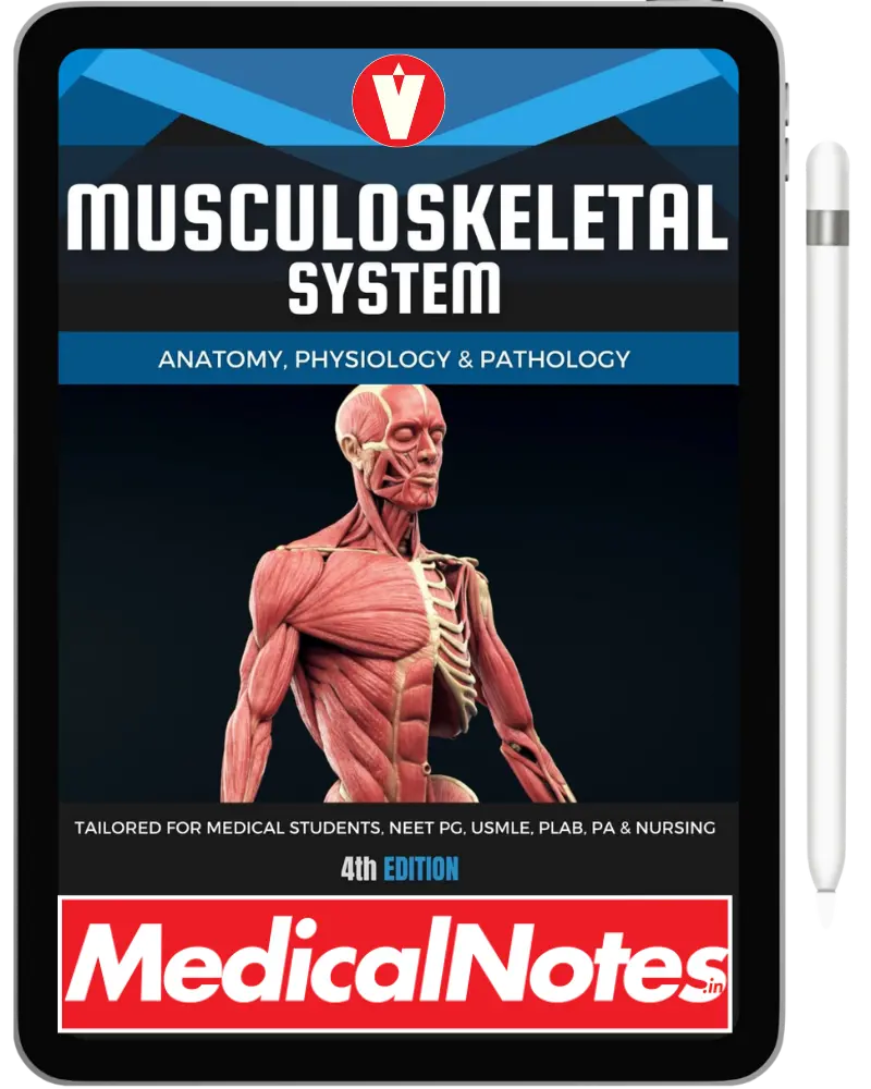 Complete Medical Notes Bundle