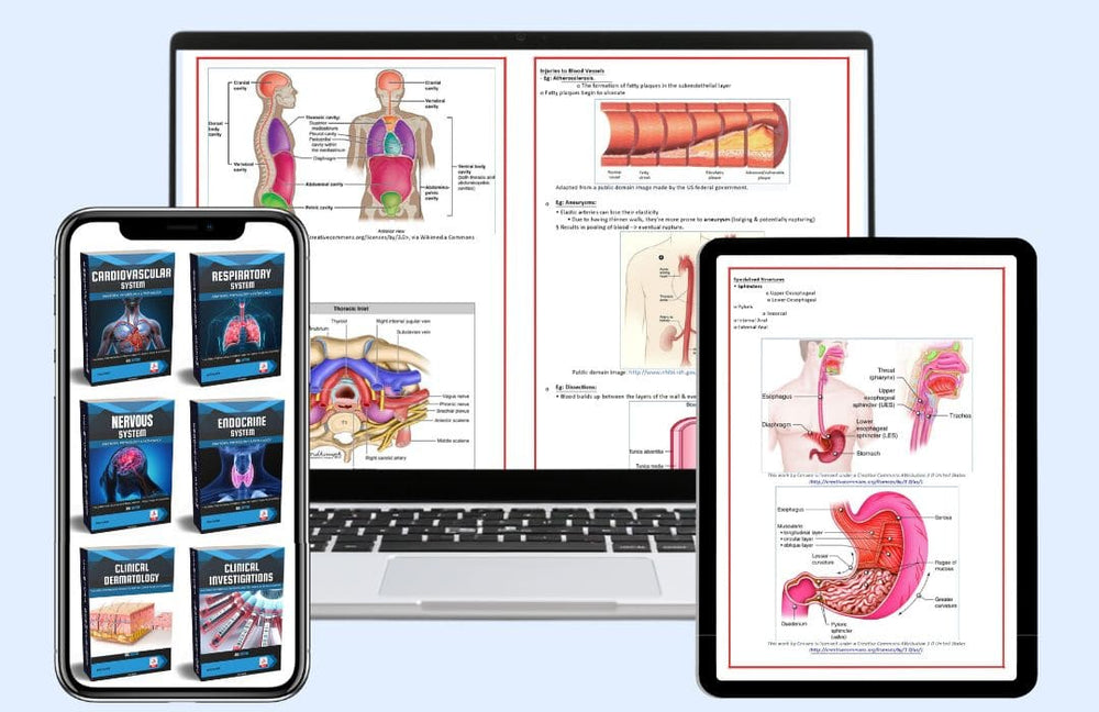 Abc Medical Notes App Edutainment – Page 2 – Medical Notes