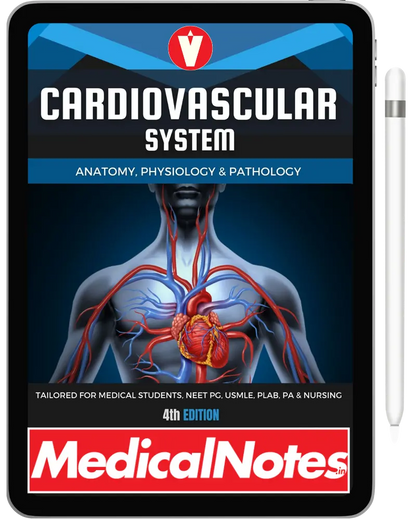 Complete Medical Notes Bundle