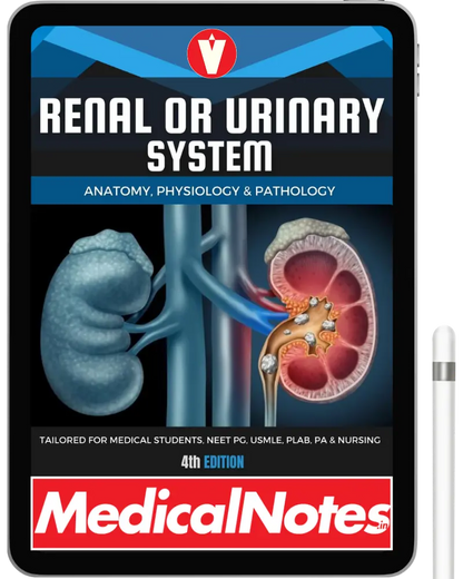 Complete Medical Notes Bundle