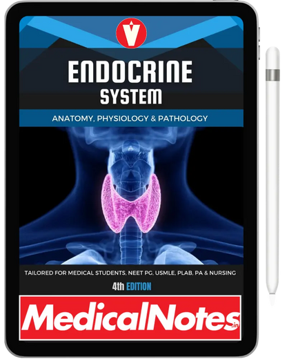 Complete Medical Notes Bundle