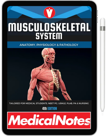 Complete Medical Notes Bundle
